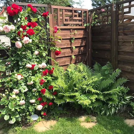 Feriegård Andromeda Mikoszewo