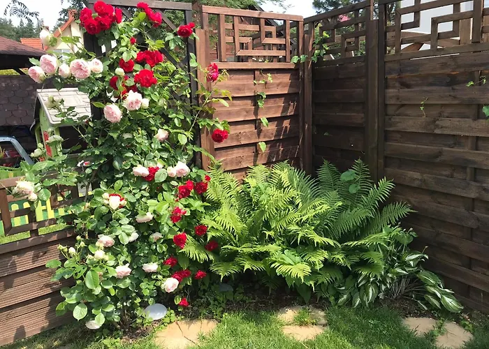 Feriegård Andromeda Mikoszewo